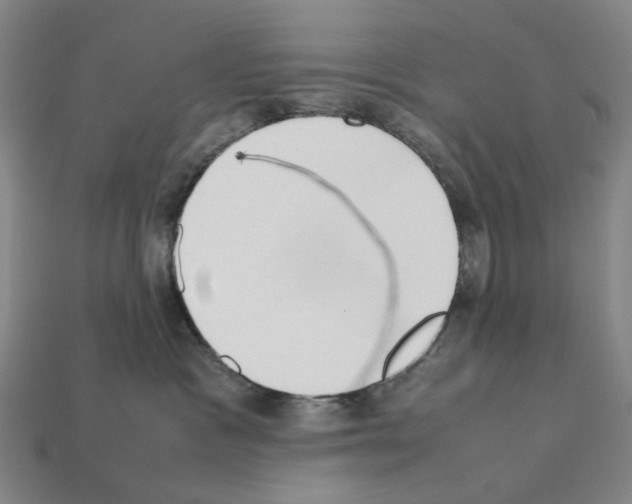 X0000112210333200909181559