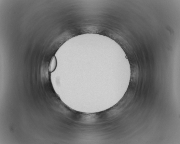 X0000112210334200909181559