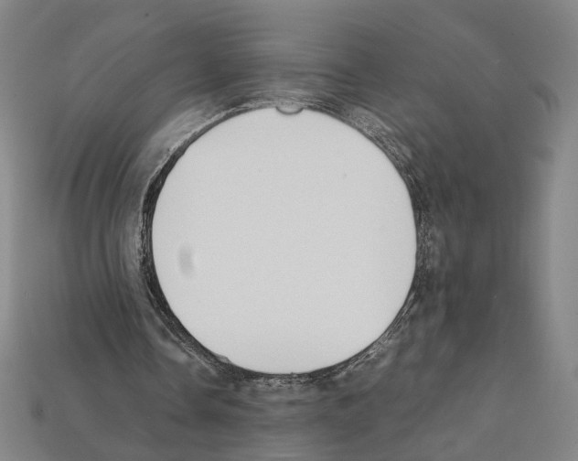 X0000112210338200909181558