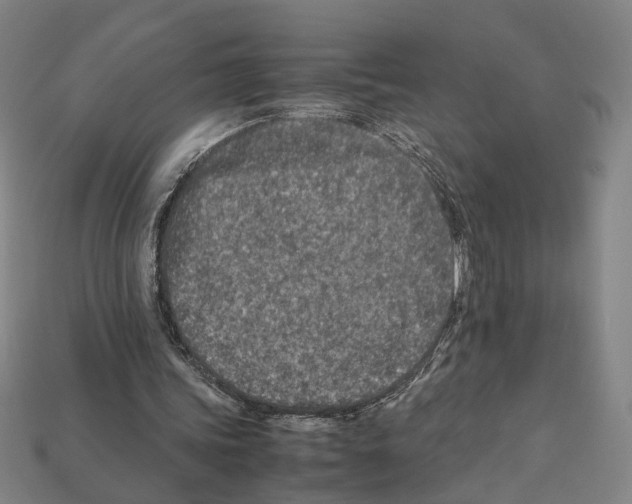 X0000112210339200909181558