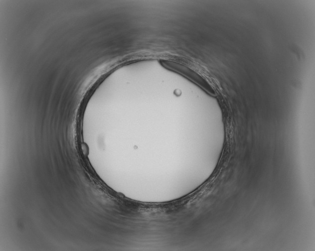 X0000112210340200909181558