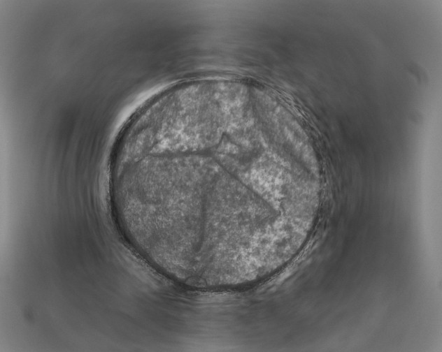 X0000112210342200909181558