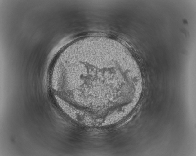 X0000112210343200909181558