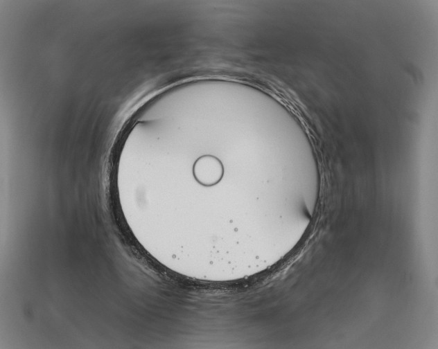X0000112210344200909181558