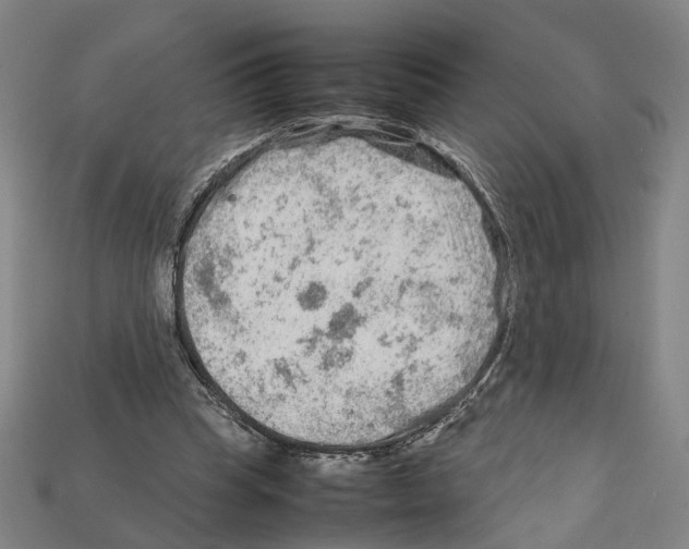 X0000112210345200909181558