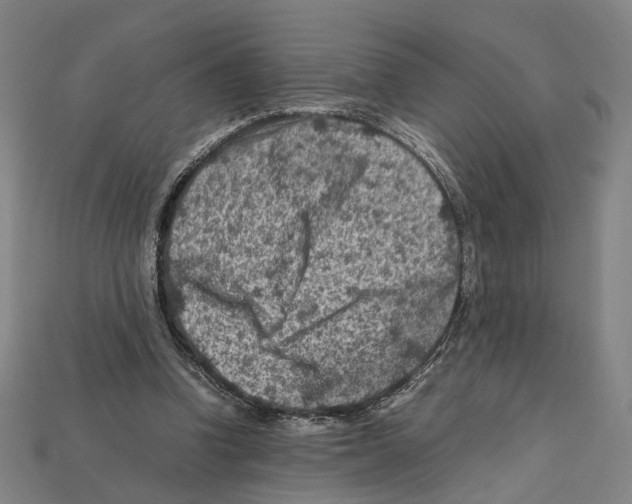 X0000112210346200909181558