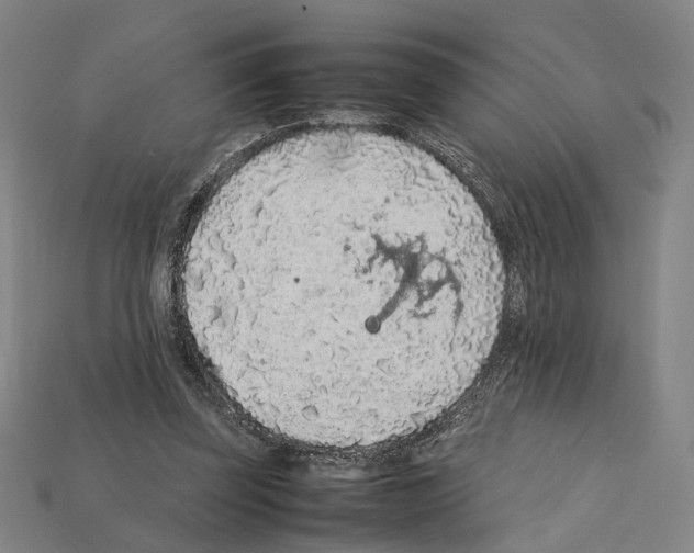 X0000112210347200909181558