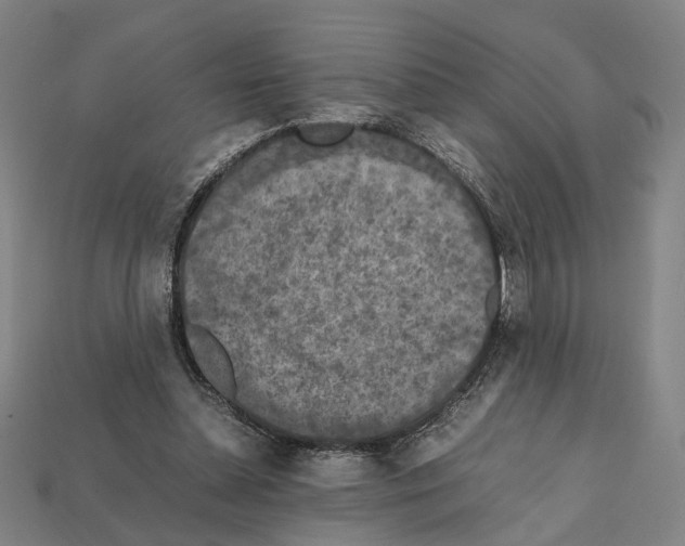 X0000112210348200909181558