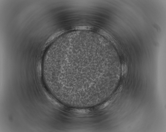 X0000112210349200909181558