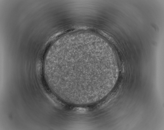X0000112210352200909181558