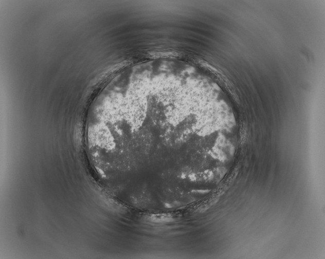 X0000112210353200909181558