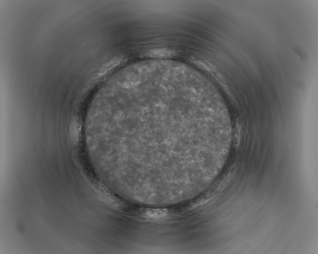 X0000112210355200909181558