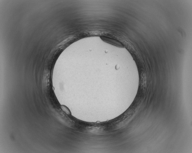 X0000112210356200909181558