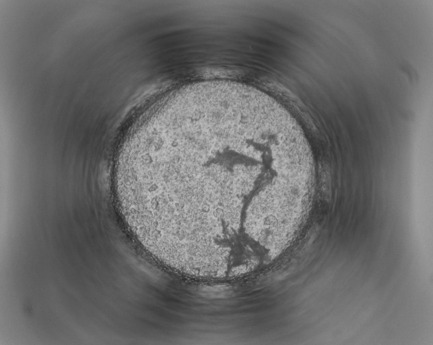 X0000112210357200909181558