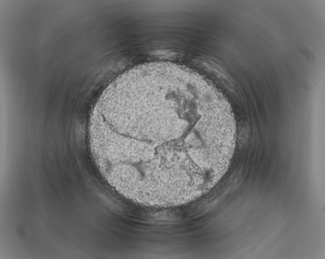 X0000112210365200909181558