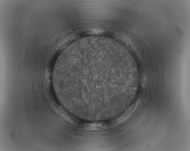 X0000112210366200909181558