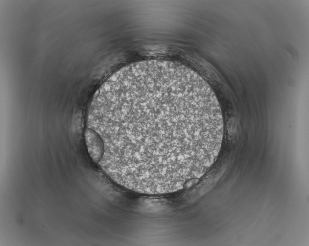 X0000112210372200909181558