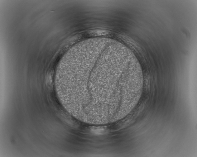 X0000112210373200909181558