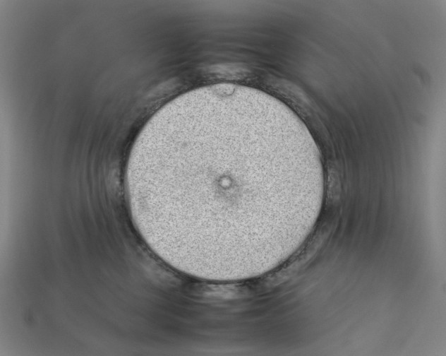 X0000112210377200909181558