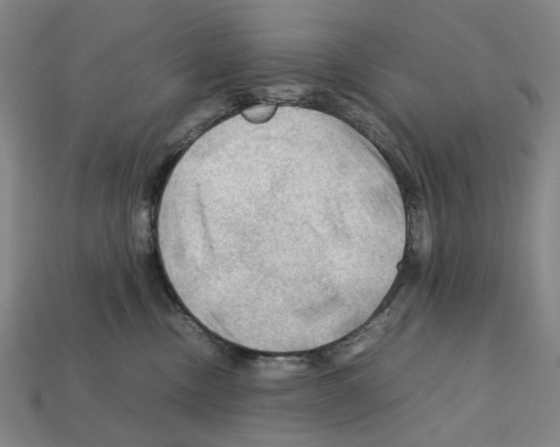 X0000112210378200909181558