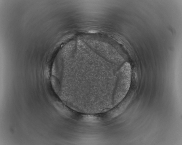 X0000112210380200909181559