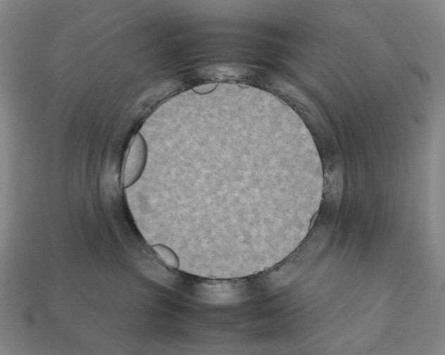 X0000112210381200909181559