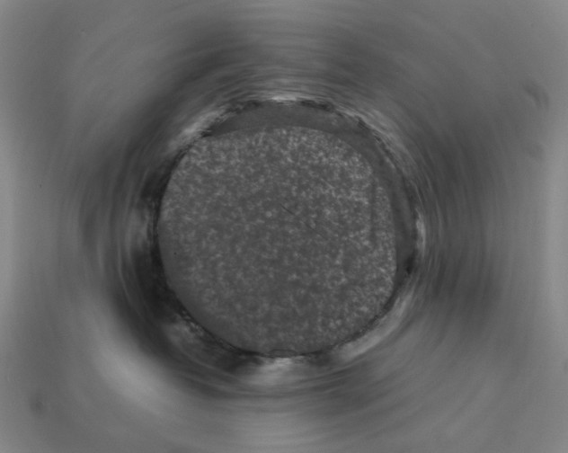 X0000112210382200909181559
