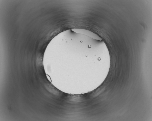 X0000112210384200909181559