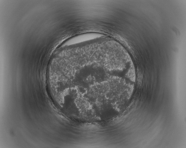 X0000112210386200909181558