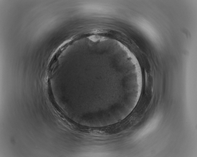 X0000112210387200909181558