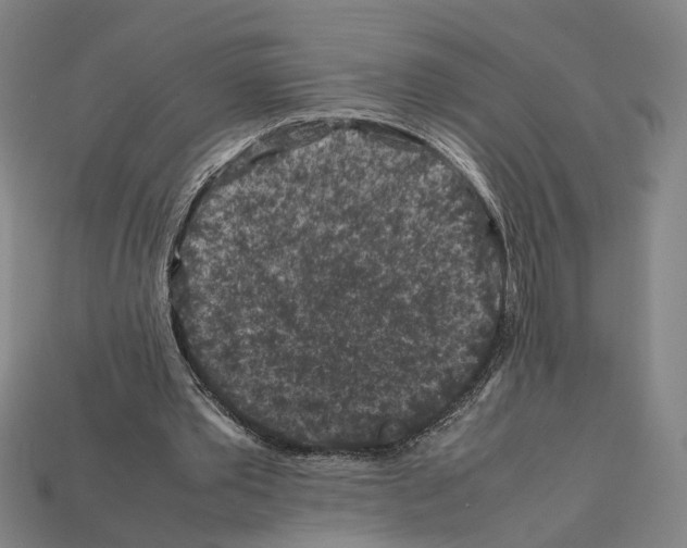 X0000112210389200909181558