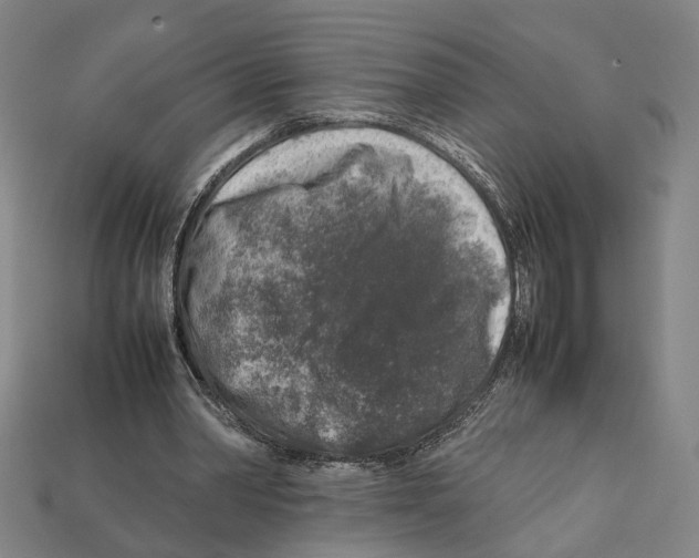 X0000112210390200909181558