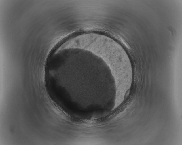 X0000112210391200909181558