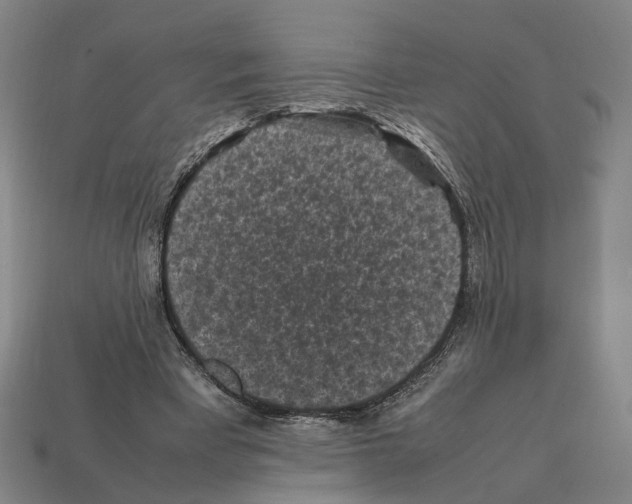X0000112210393200909181558