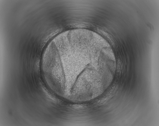 X0000112210394200909181558