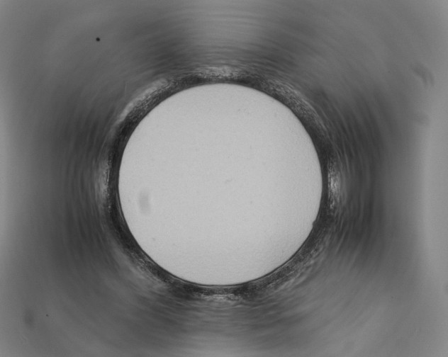 X0000112210396200909181558
