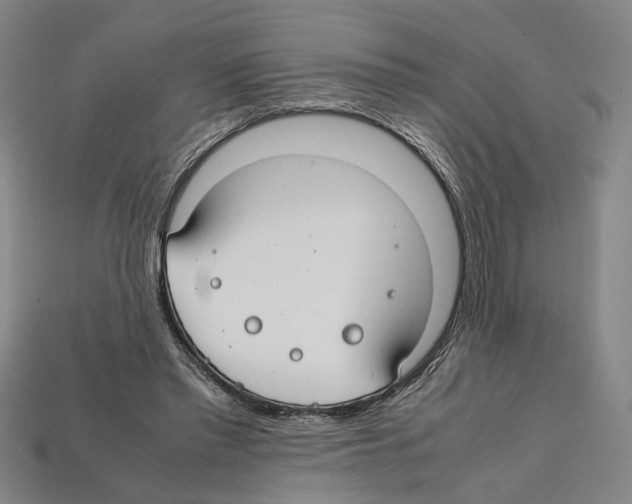 X0000112210397200909181558
