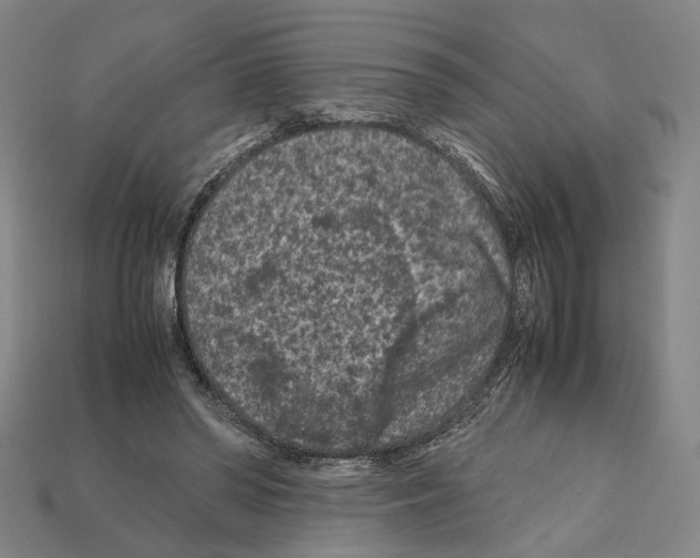 X0000112210398200909181558
