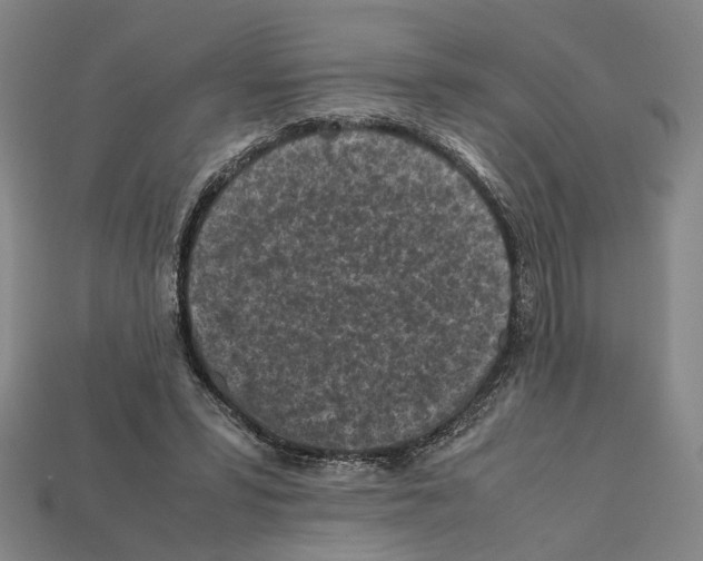 X0000112210399200909181558