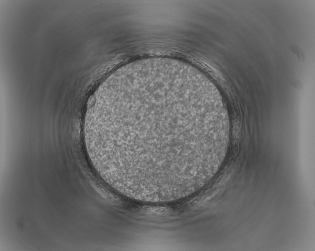 X0000112210401200909181558