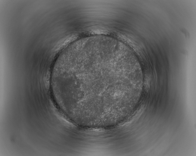 X0000112210402200909181558