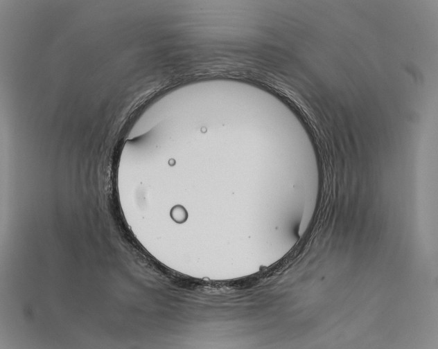 X0000112210403200909181558