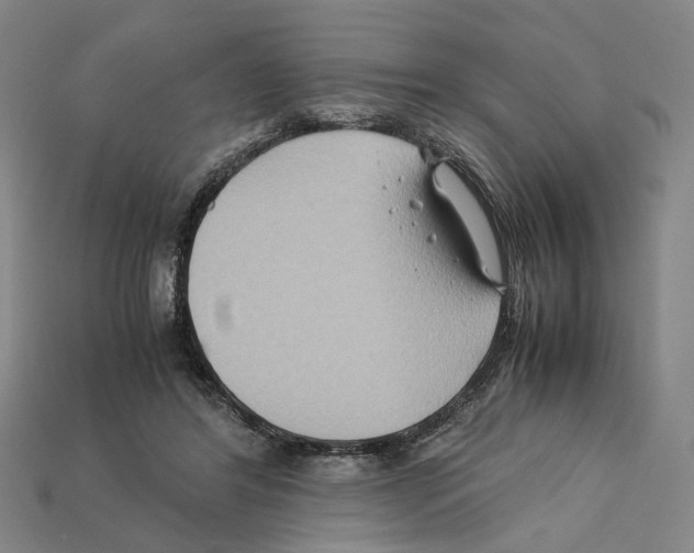 X0000112210404200909181558