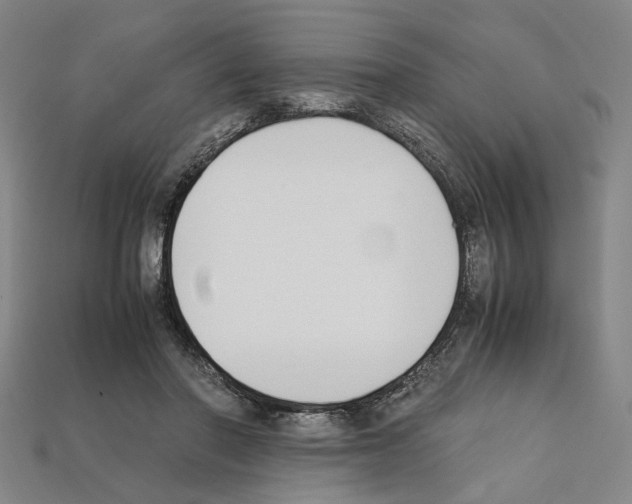 X0000112210406200909181558