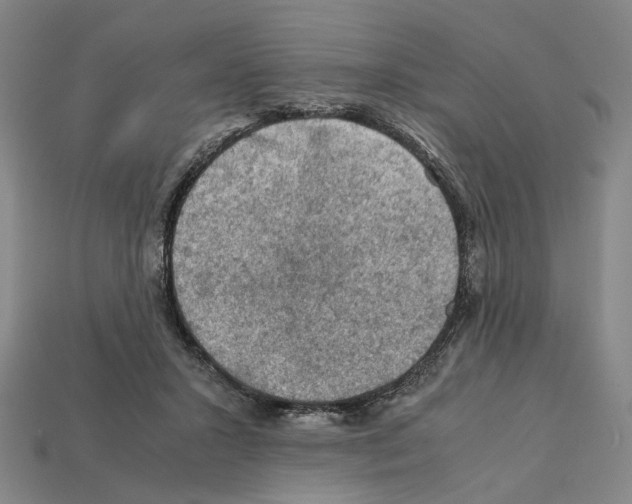 X0000112210407200909181558