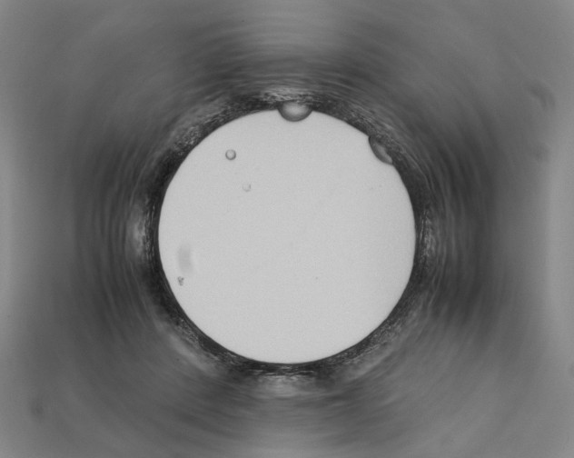 X0000112210408200909181558
