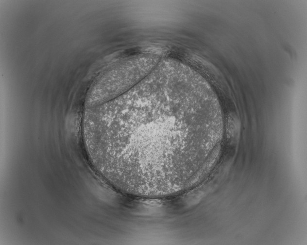 X0000112210409200909181558