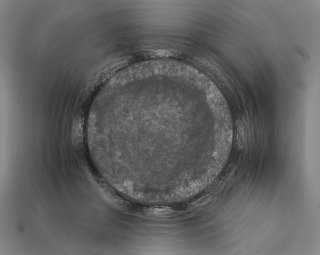 X0000112210410200909181558