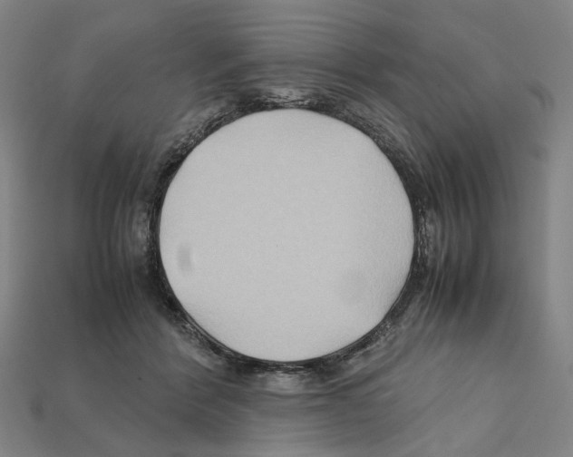 X0000112210412200909181558