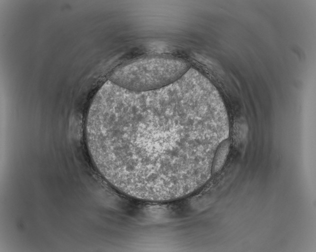 X0000112210413200909181558